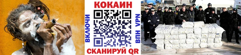 где найти   Ачхой-Мартан  COCAIN Fish Scale 