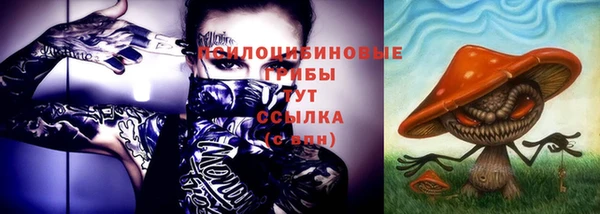 гидра Лабытнанги