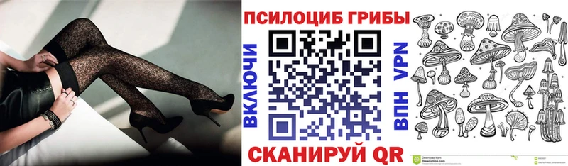 Галлюциногенные грибы Psilocybe  Ачхой-Мартан 
